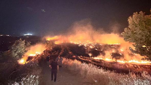 Hatay'da anız yangını, zeytin bahçelerine zarar verdi