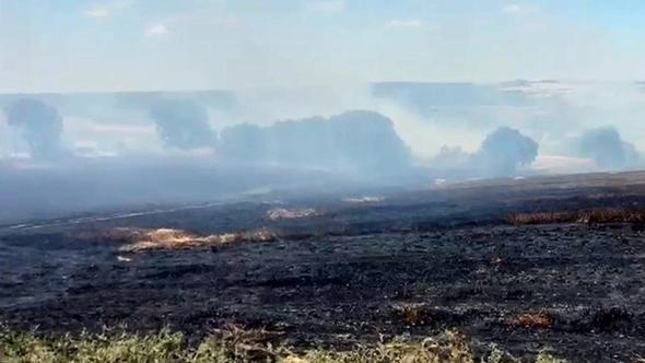 Tekirdağ’da yangın; 200 dekar buğday ekili alan zarar gördü