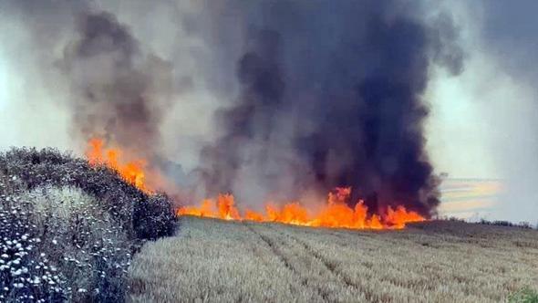 Tekirdağ’da yangın; 300 dönüm buğday ekili alan zarar gördü