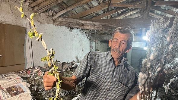 İpek böcekçiliğinin 3'üncü kuşak temsilcisi