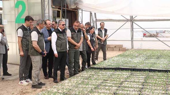 Bursa’da yanan ormanlar, Eskişehir’de üretilen fidanlarla yeşillenecek