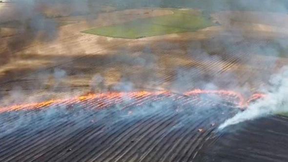 Tekirdağ'da yangında 300 dekar tarım alanı zarar gördü