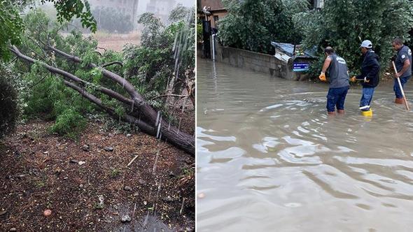 Osmaniye’de sağanak ve fırtına; ağaçlar devrildi