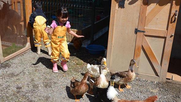 Anaokulu öğrencilerine ormanda doğayla iç içe eğitim