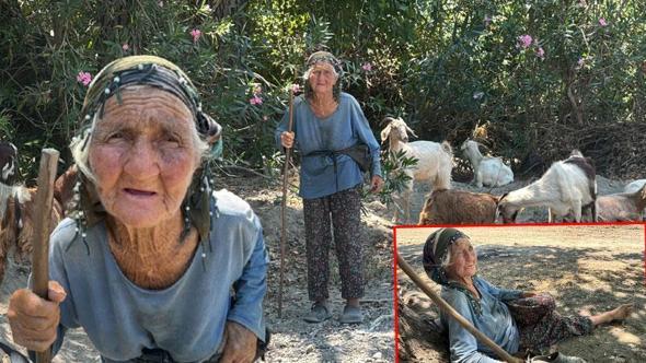 90 yaşında, elinde değneğiyle her gün merada