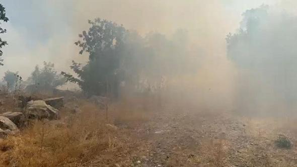 Diyarbakır’da örtü yangınında 50 dönümlük alan zarar gördü; Tahribat dronla görüntülendi