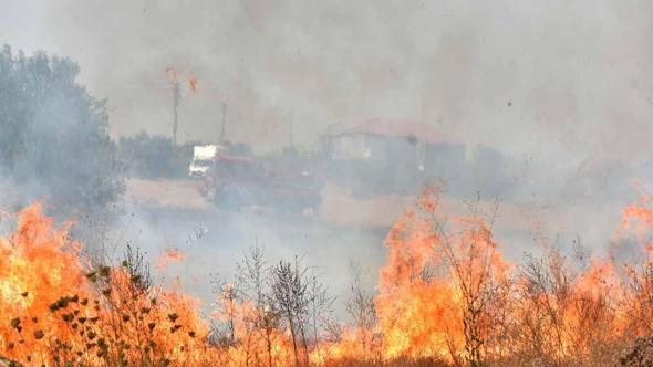 Antalya'da orman yangını