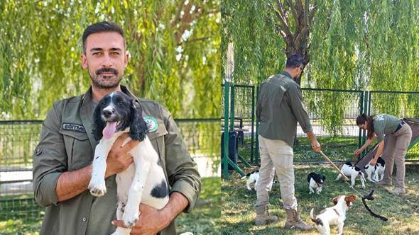 Gümrük kapılarının yeni muhafızları