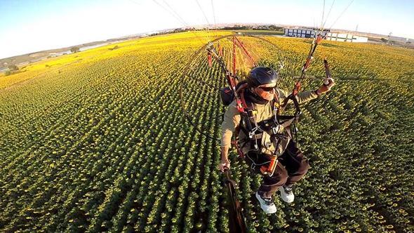 Edirne'nin 'sarı gelin'i ayçiçeği tarlaları üzerinde paramotorla uçtu