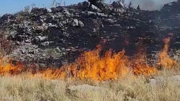 Adıyaman’da orman yangını; söndürme çalışmaları sürüyor