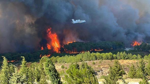 Çanakkale'de duyarlılık arttı, orman yangınında düşüş yaşandı