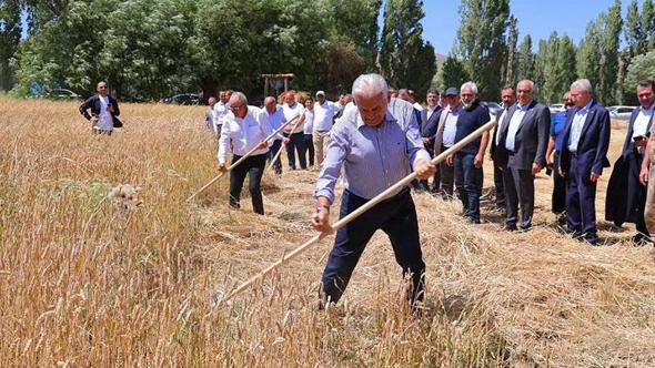 Binali Yıldırım, geleneksel ‘Harman Şenliği’nde tırpanla ekin biçti