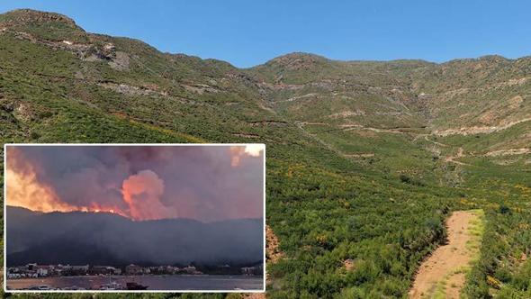 Muğla'da büyük yangınların 5'inci yılında yanan alanlar yeşil örtüye kavuştu