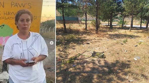 Hayvanları koruma derneği başkanının öldürülmesine ilişkin kardeşi aranıyor