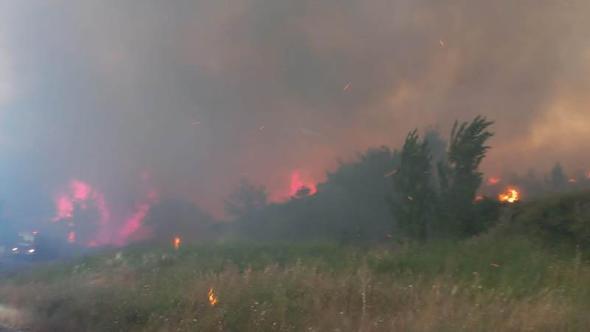 Çanakkale’de otlukta çıkan yangın ormana sıçradı