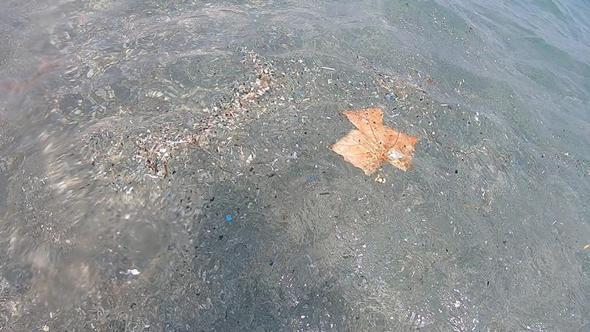 Antalya kıyılarında mikroplastik alarmı; canlıların ölümüne sebep olabiliyor