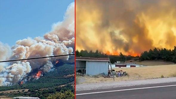 Çanakkale'de 2 ayda çıkan orman yangınlarında 541 hektar alan zarar gördü