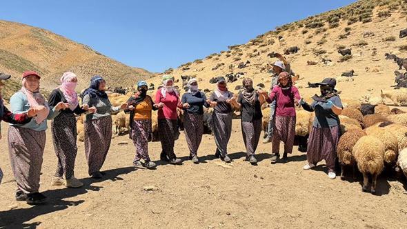 Yaylada süt sağımı sonrası halay çekerek stres atıyorlar