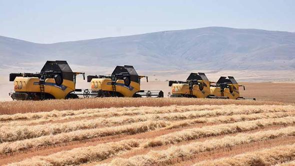 Hasada başlayan Ulaş TİGEM'de tritikale üretiminde rekor beklentisi