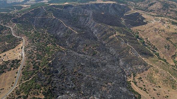 Manisa'daki orman yangınında zarar gören alanlar dronla görüntülendi