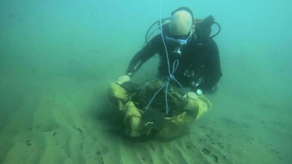 Deniz çayırları rehabilitasyon projesinde yüzde 90 başarı