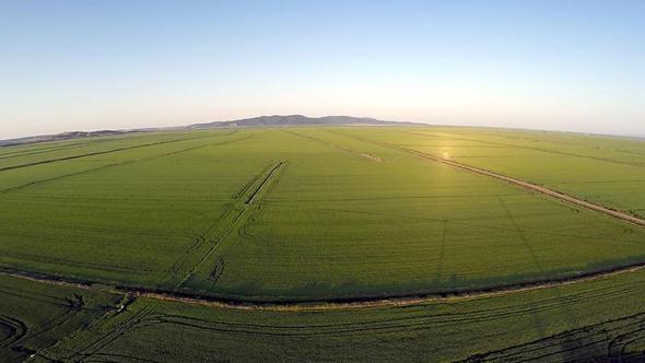 Edirne’de son 2 yıl kuraklık nedeniyle düşen çeltik ekim alanı, bu yıl 500 bin dekara çıktı
