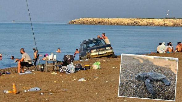 Carettaların yuvalama alanı sahile araçla girip, çadır kurdular