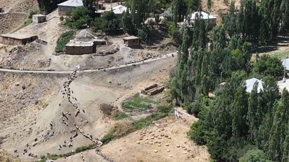 Besiciler, koyunlarını her gün 3 kilometre uzaklıktaki çeşmeye yürütmek zorunda kalıyor