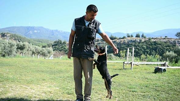 11 yılda yetiştirdiği 4 arama köpeğiyle, sayısız hayat kurtardı