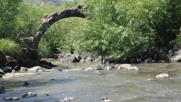 2 bin yıllık Taşköprü turizme kazandırılmayı bekliyor