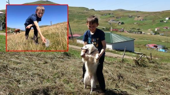 Karadeniz’in ‘Sıfır Atık Bekçisi’ Ufuk