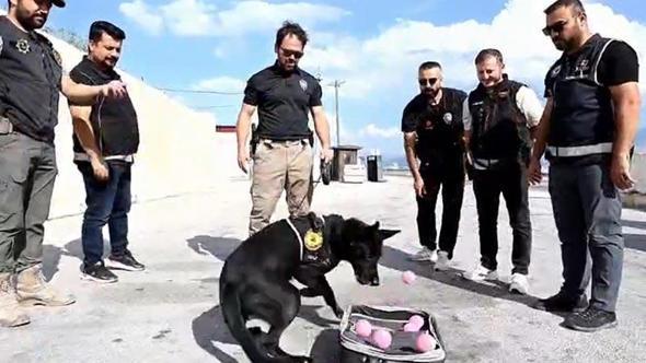 Emekli olan narkotik köpeği Naz'a duygulandıran veda