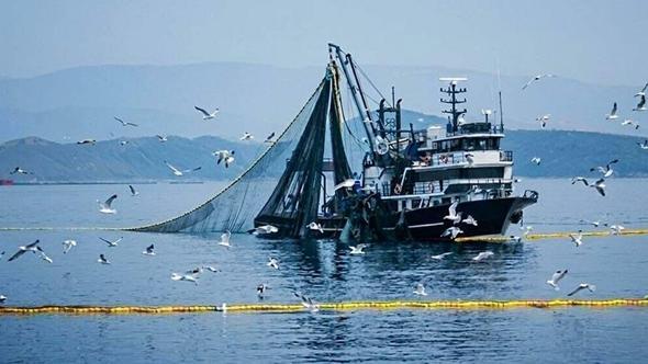 'Bu sene denizlerin padişahı palamut olacak'