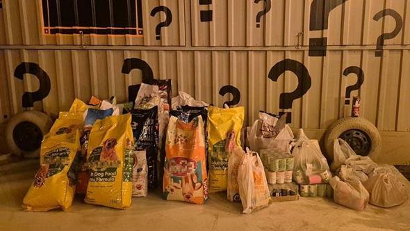 İzmir'de 'Dünya Köpek Günü’nde patili dostlar için 600 kilo mama toplandı