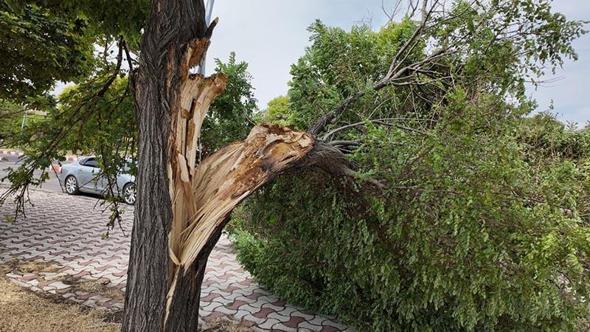 Erciş’te şiddetli fırtına hasara yol açtı
