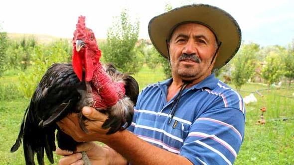 Çocukluk hayali için esnaflığı bıraktı, 20 yıldır kanatlı hayvan üretiyor