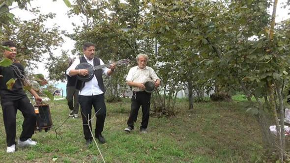 Fındık bahçesinde hasada ‘çalgılı mola’