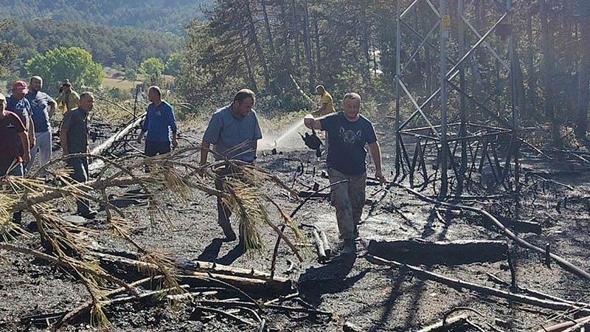 Yüksek gerilim hattında akıma kapılan kuş, orman yangınına neden oldu