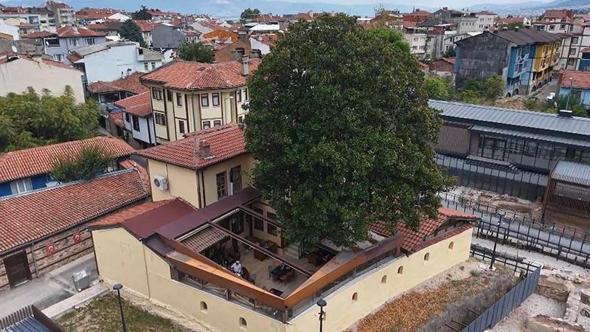 Kökleri 3 asra, hatırası Zeki Müren’e uzanan manolya ağacının altında vefa nöbeti