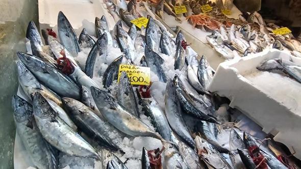 İzmir'de balık fiyatları düştü; palamut halde 60, tezgahta 100 TL