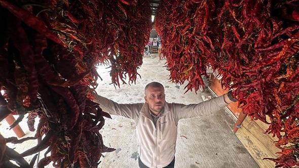 Edirne tava ciğerinin vazgeçilmezi Karaağaç biberinde kurutma dönemi