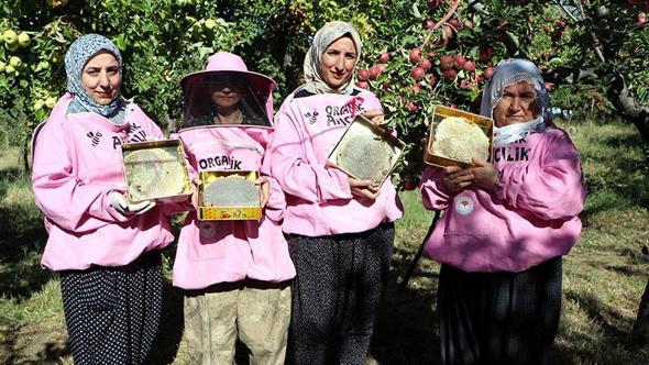 'Pembe maskeli’ kadın arıcılar hasada başladı