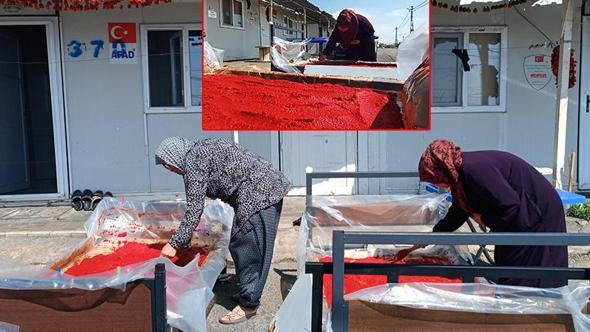 Depremzede kadınların 'salça' ve 'kurutmalık' telaşı