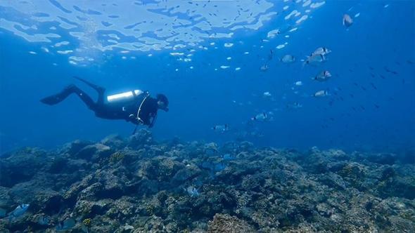 Saros Körfezi'nde su altı sezonu sona erdi; 25 bin dalış gerçekleştirildi