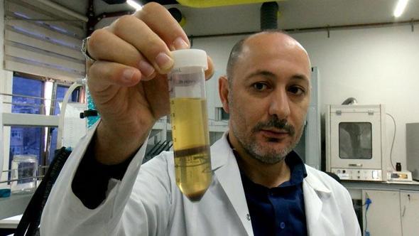 Hayvan yemi olarak kullanılan fındık posası, tüketilebilir protein kaynağına dönüşecek