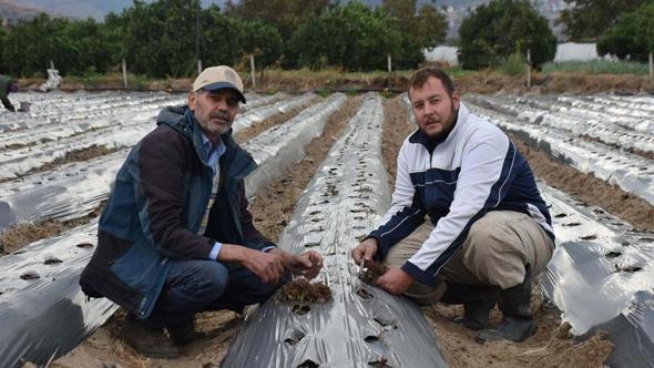 Baba-oğul, ata toprağında organik tarım yapıyor