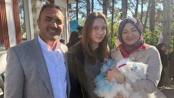 Tokat'ta kediler güzellik yarışmasında podyuma çıktı