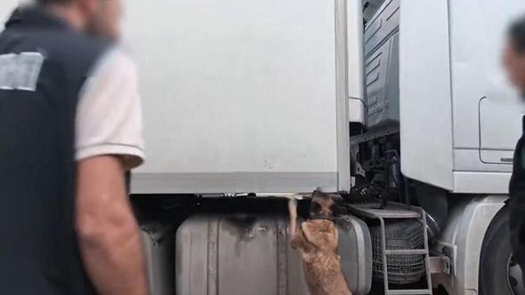 İzmit’te kaçakçılık operasyonu