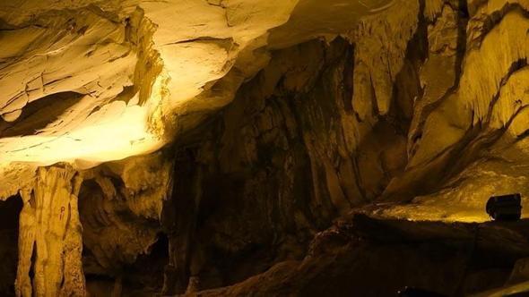 312 mağara ve 10 bin 963 anıt ağaç koruma altında