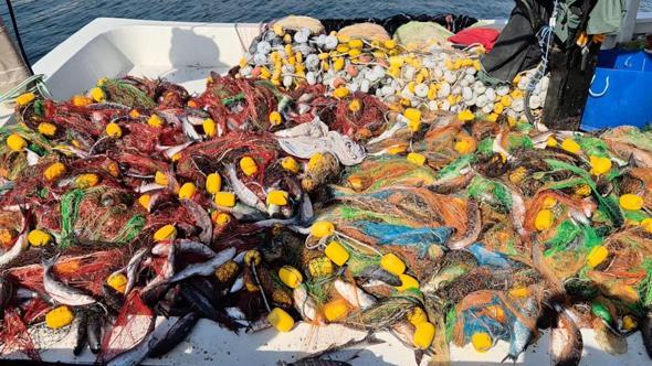 Tekirdağ’da tekneyle denize açılan balıkçılar, 1,5 ton kefal avladı
